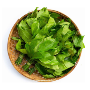 泰国良叶 Melinjo leaves