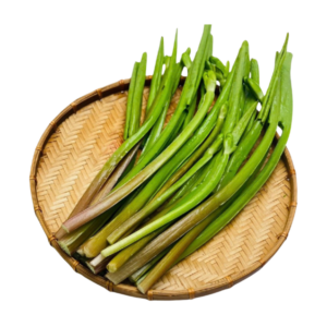 黄花蔺 - Yellow burrhead