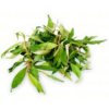 叻沙叶 Knotgrass - Vietnamese coriander