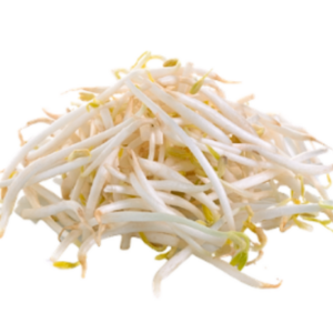 豆芽 Bean Sprouts