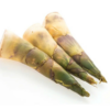 大/小竹笋  Bamboo Shoots