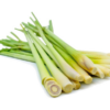 香茅 Lemon Grass
