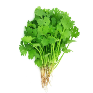 香菜 Cilantro
