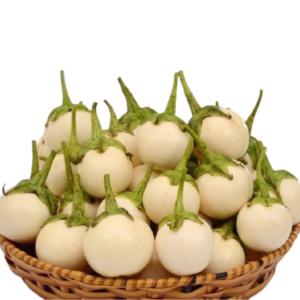 白茄子 Thai White Eggplant