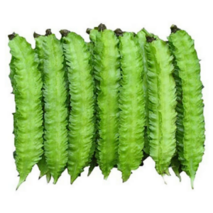 四棱豆 Winged Bean