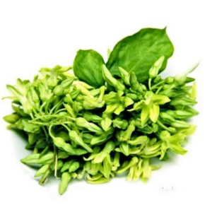 夜来香 Cowslip Creeper