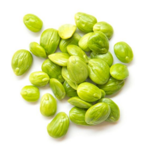 苦豆 Bitter Bean