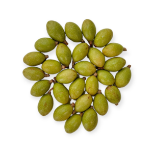 南酸枣 Jew's plum