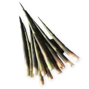 小竹笋 Bamboo Shoot