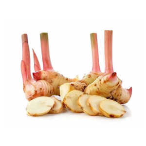 泰国高良姜 Galangal