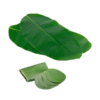新鲜香蕉叶 Fresh Banana Leaf