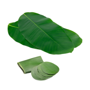 新鲜香蕉叶 Fresh Banana Leaf