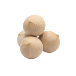 泰国鲜椰子 Fresh Coconut