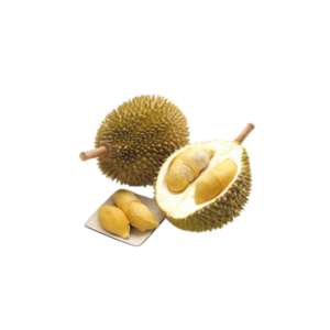 榴莲 Durian