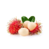 红毛丹 Rambutan