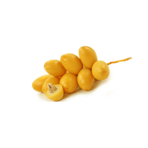 泰国黄椰枣 Date Palm