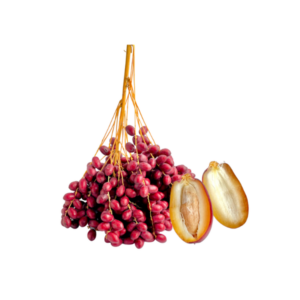 泰国红椰枣 Date Palm